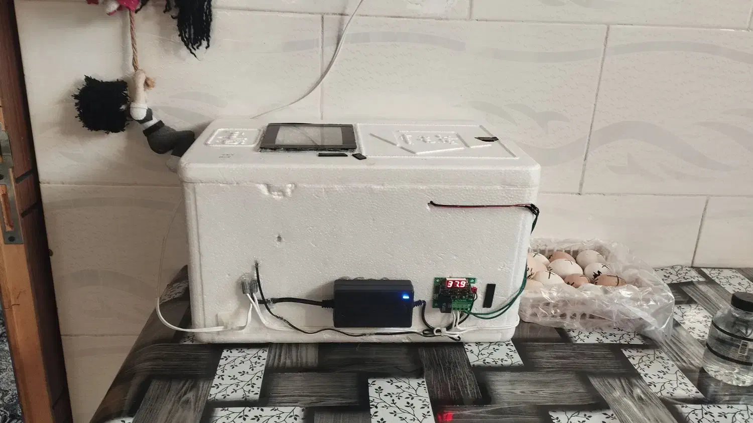 دستگاه جوجه کشی دستساز|لوازم جانبی حیوانات|بن, |دیوار