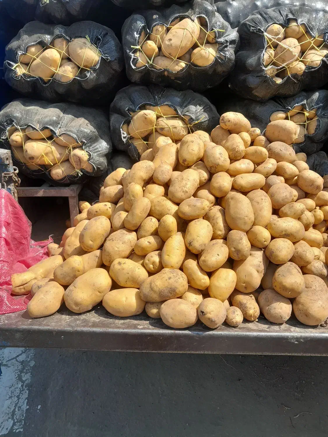 نگهبان شب|استخدام بازاریابی و فروش|رشت, شهرک قدس|دیوار