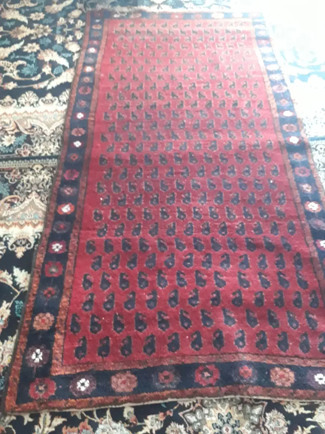 فرش دستباف|فرش|اهواز, فرهنگ شهر|دیوار