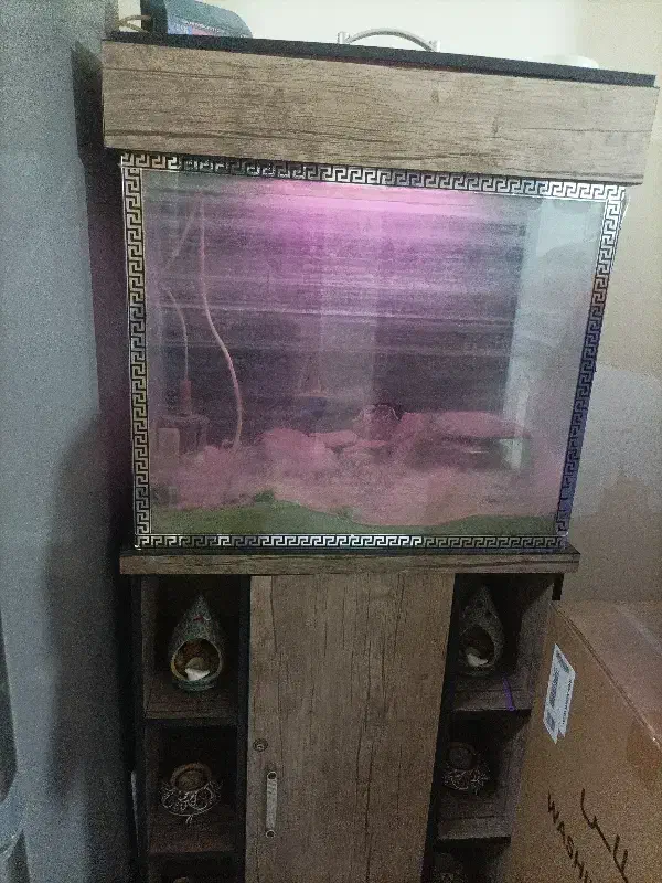 آکواریوم|ماهی|شهریار, شهرک وائین|دیوار