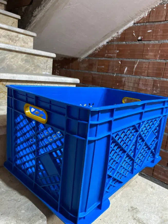 سبد حمل مرغ کشتارگاهی|فروشگاه و مغازه|قائمشهر, |دیوار