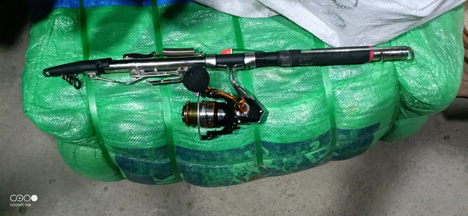 ماهیگیری|ماهیگیری|کرمانشاه, |دیوار