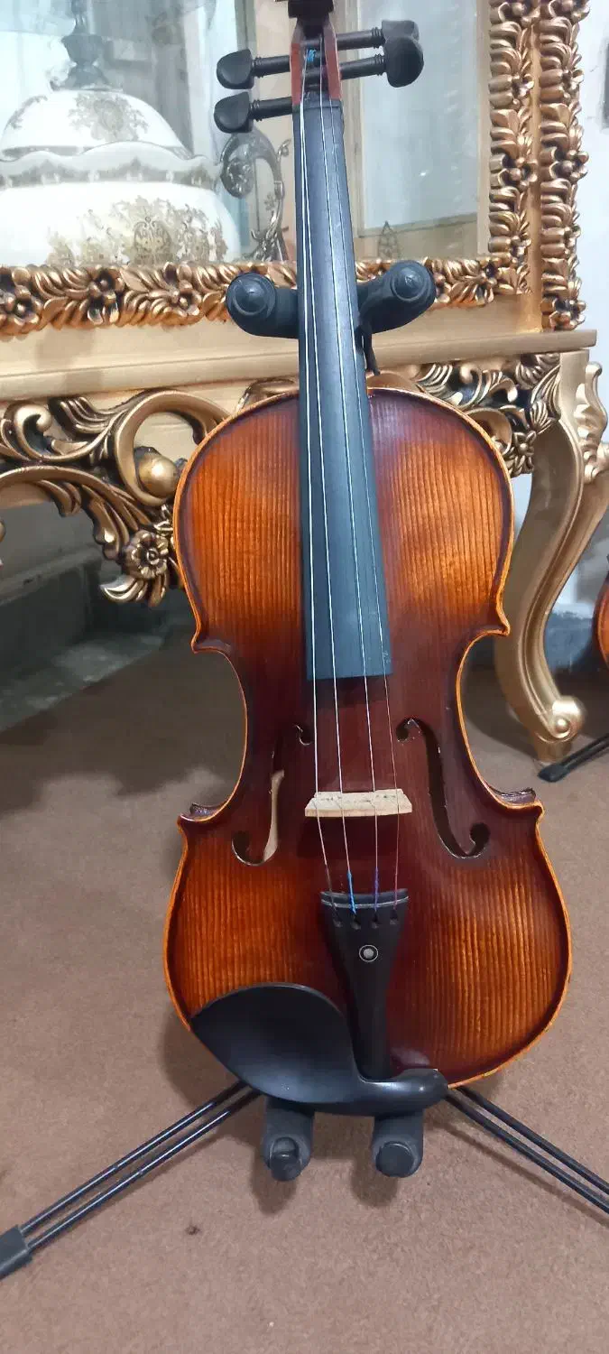 ویلن کریستینا|ویولن|تبریز, |دیوار