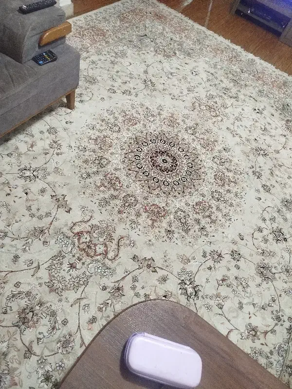 فرش ۱۲متری|فرش|رشت, گلباغ نماز|دیوار