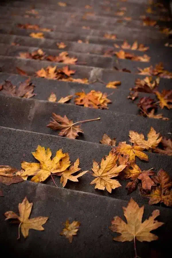 بن کارت|کارت هدیه و تخفیف|خمین, |دیوار