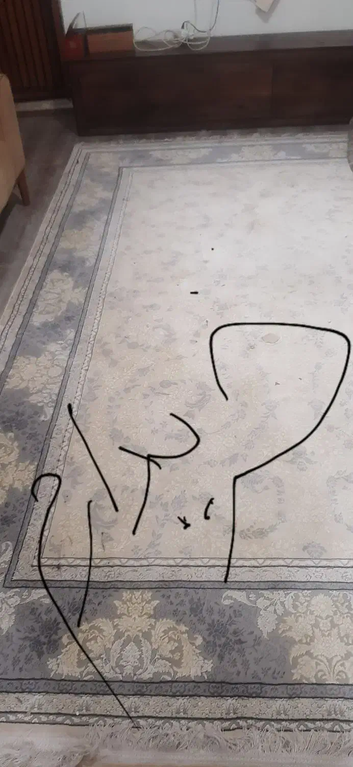 فرش ۶ متری این طرح|فرش|خرمآباد, |دیوار