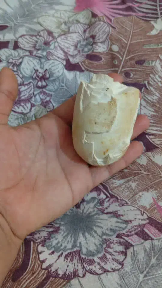 سنگ های کمیاب|کلکسیون اشیاء عتیقه|فیروزآباد (فارس), |دیوار