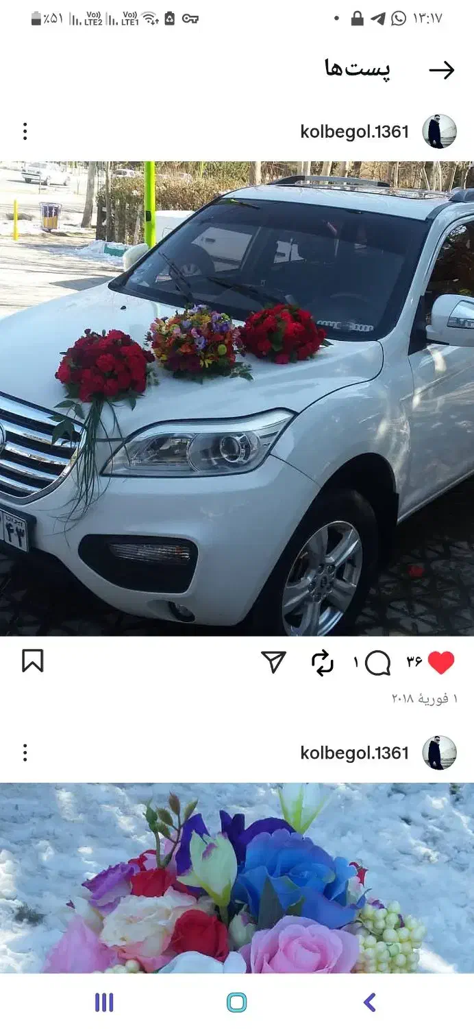 عرضه مستقیم گلدون و گیاه‌های تزئینی تازه|گل و گیاه طبیعی|فولادشهر, ورزشگاه فولادشهر|دیوار