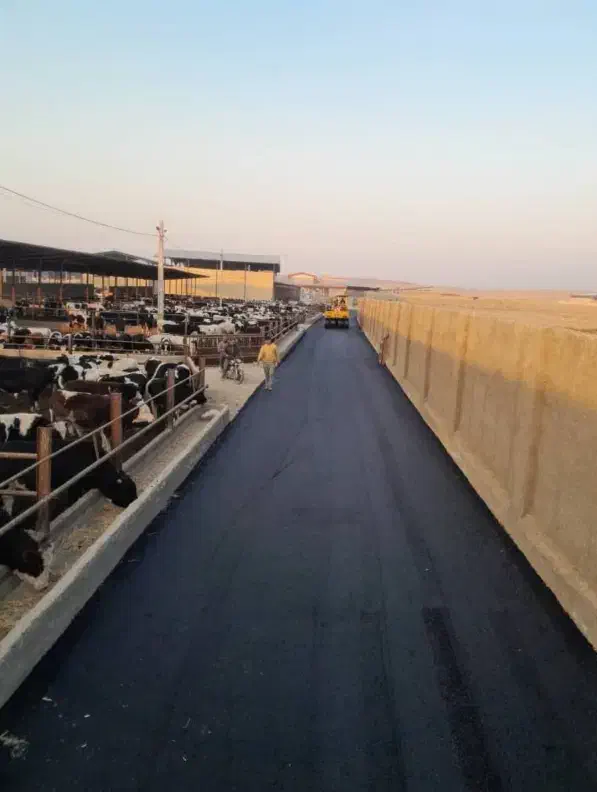 اجرای آسفالت و تراشه آسفالت دردهقان ویلاکرج|خدمات پیشه و مهارت|کرج, دهقان ویلا|دیوار