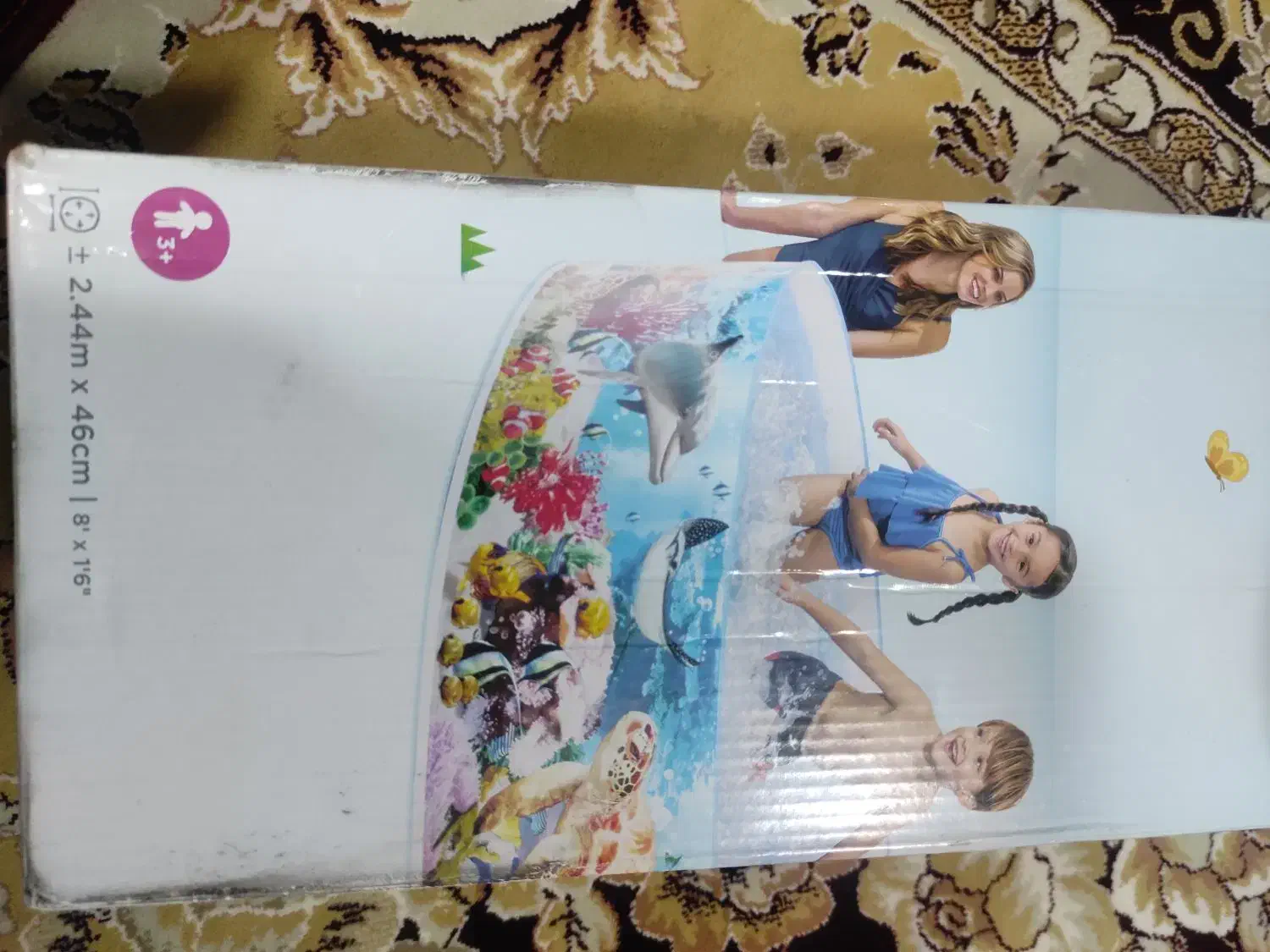 استخر بادی|اسباب‌بازی بچه|طبس, |دیوار