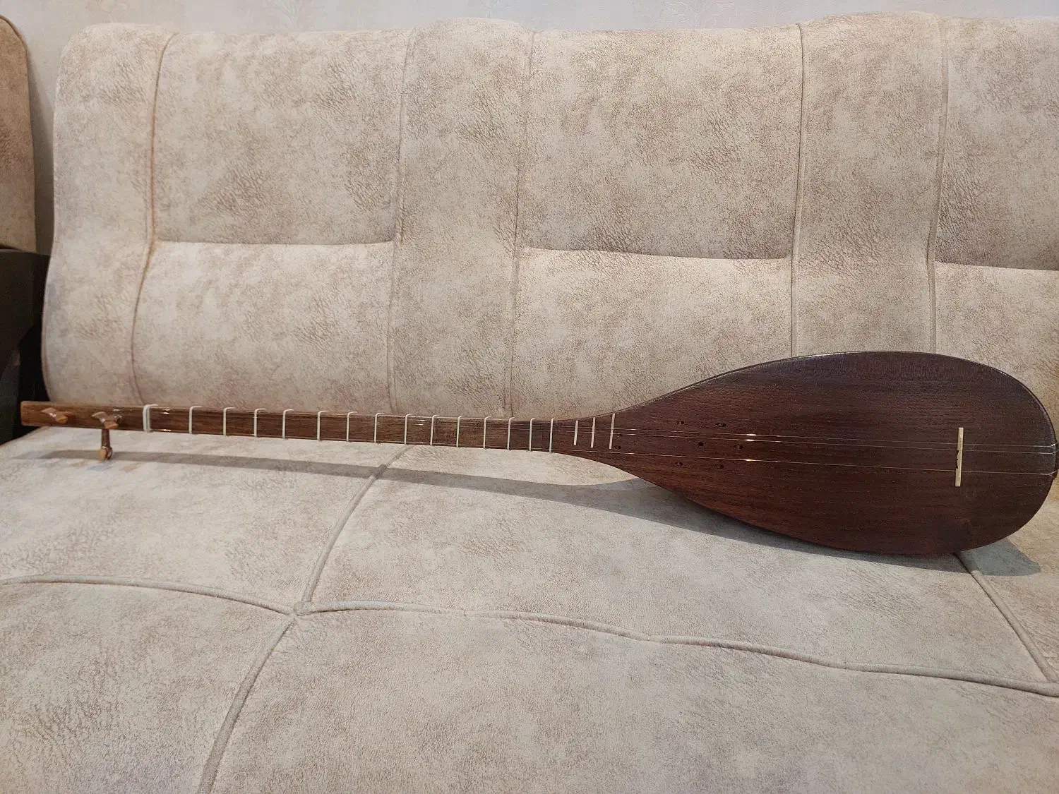 تنبور|سازهای سنتی|تهران, استاد معین|دیوار