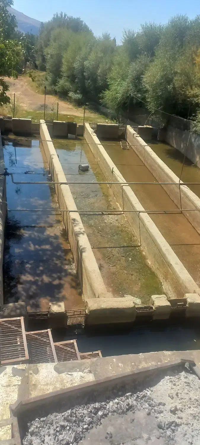 اجاره پرورش ماهی ۱۵تنی...|اجارهٔ دفتر صنعتی، کشاورزی، تجاری|الشتر, |دیوار