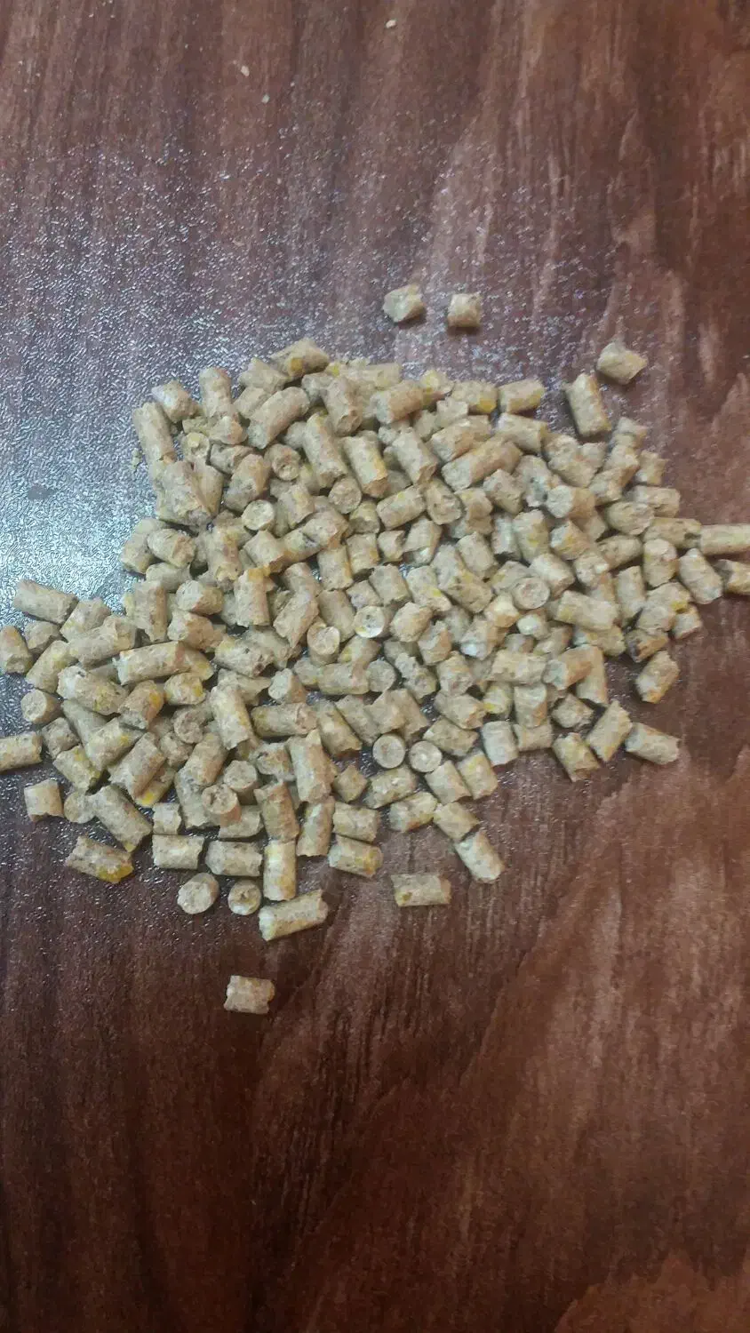 دان اماده ی مرغ و طیور|حیوانات مزرعه|کهریزک, |دیوار