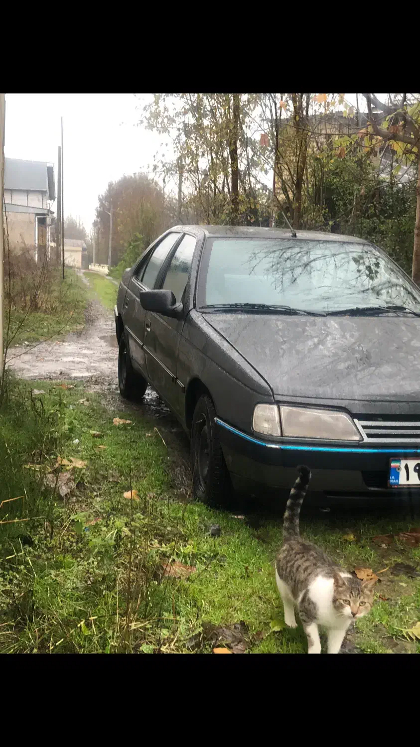 پژو ۴۰۵ بی ضربه مدل ۸۴|خودرو سواری و وانت|رشت, دیلمان|دیوار