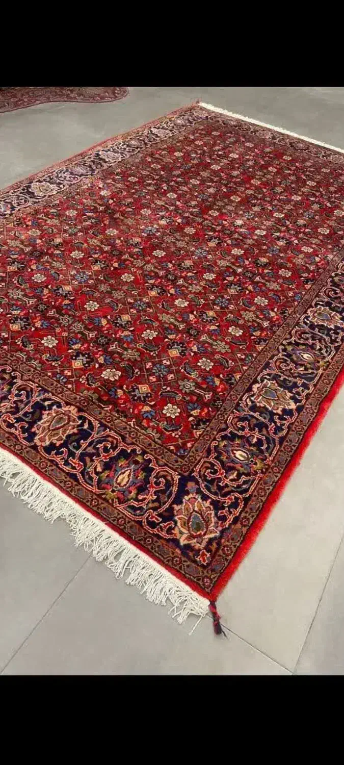 فرش دستبافت|فرش|کرج, اصفهانیها|دیوار