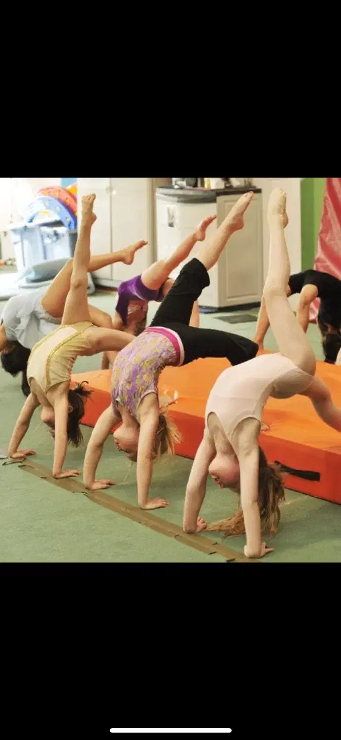 کلاس های ژیمناستیک|خدمات آموزشی|آبیک, |دیوار