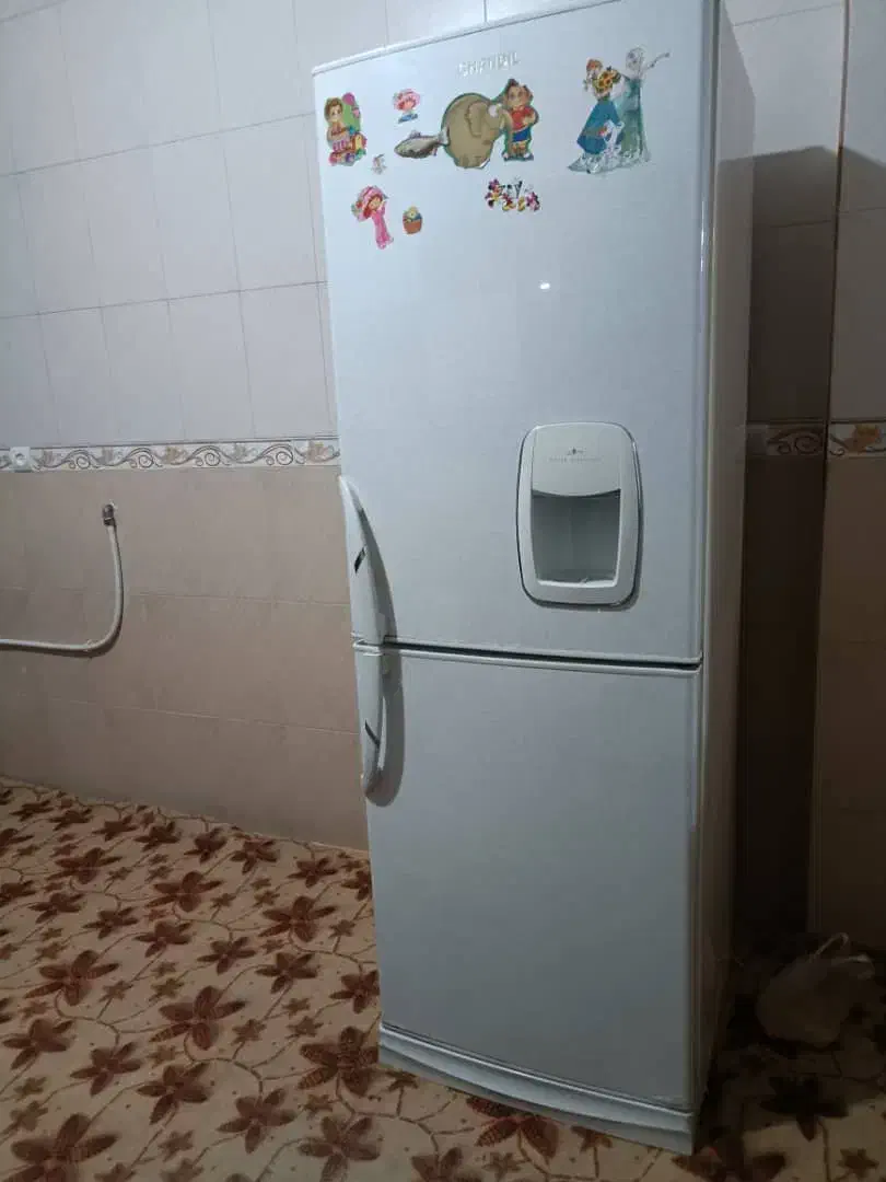 یخچال|یخچال و فریزر|شیراز, گچی|دیوار