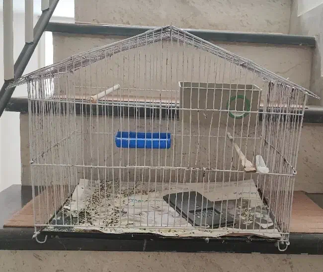 قفس پرنده ( بزرگ )|لوازم جانبی حیوانات|سبزوار, قصبه اب یمین|دیوار
