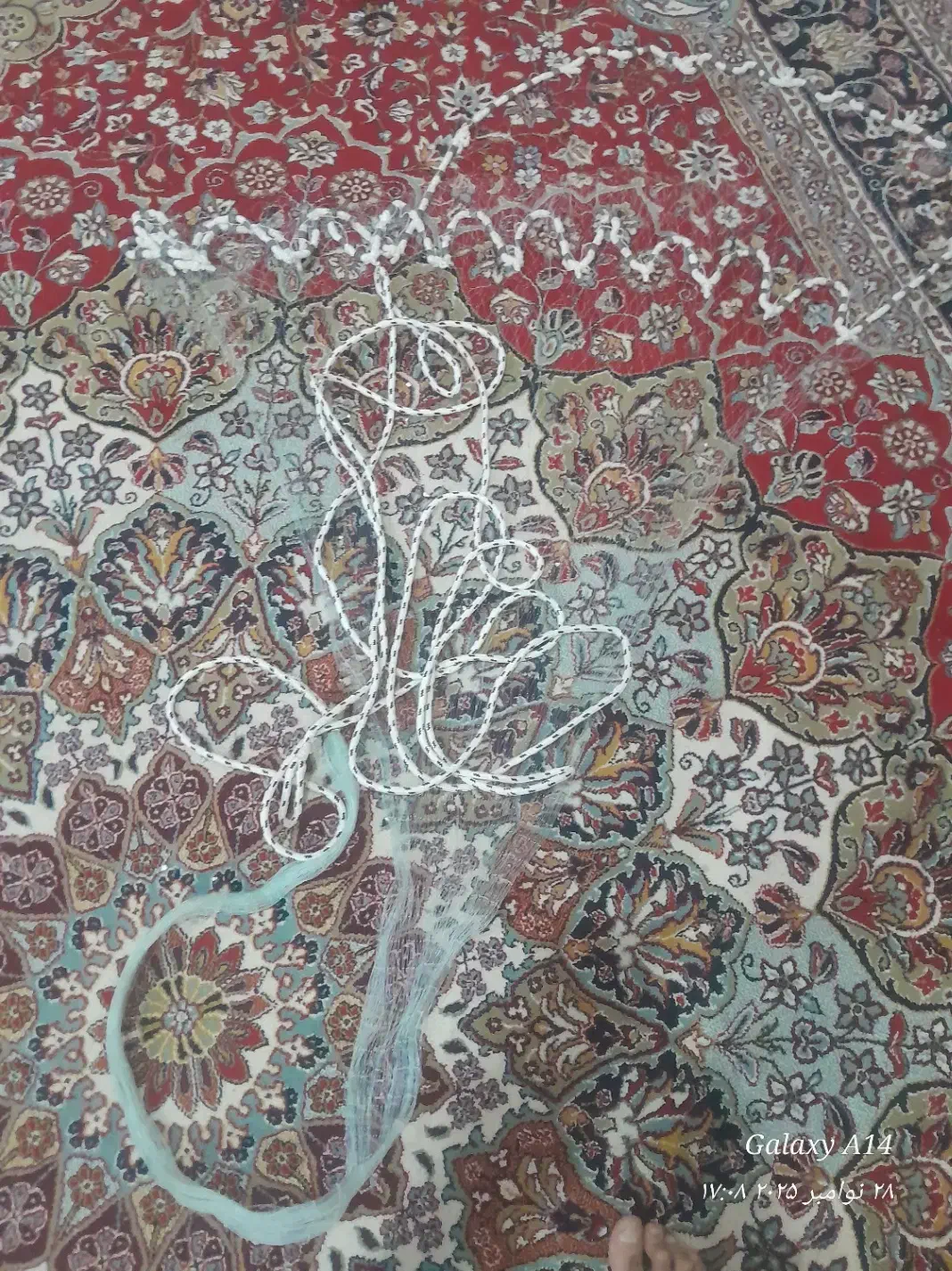 تور ماهیگیری|ماهیگیری|خرمآباد, |دیوار