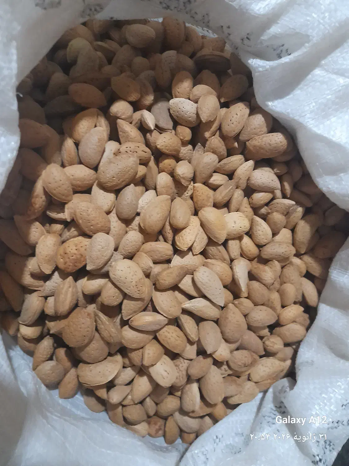 بادام سنگی وشنوه|خوردنی و آشامیدنی|قم, زند آباد|دیوار