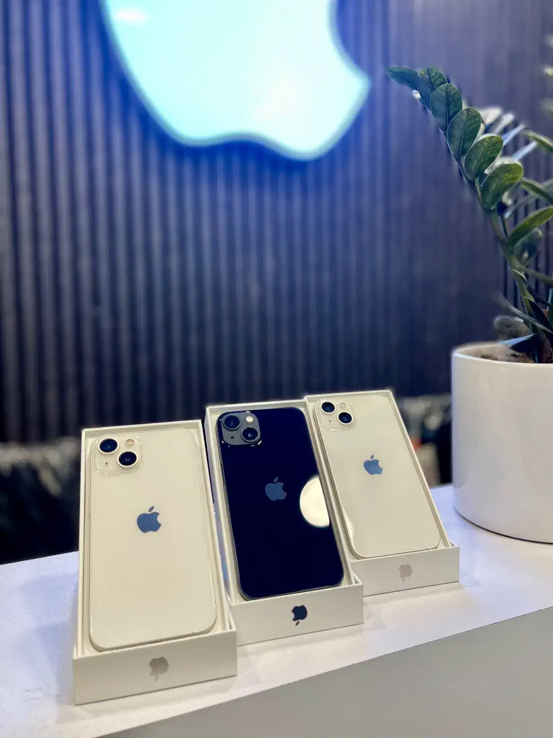 13 نرمال از دم قسط و نقدی|موبایل|کرج, مهرویلا جنوبی|دیوار