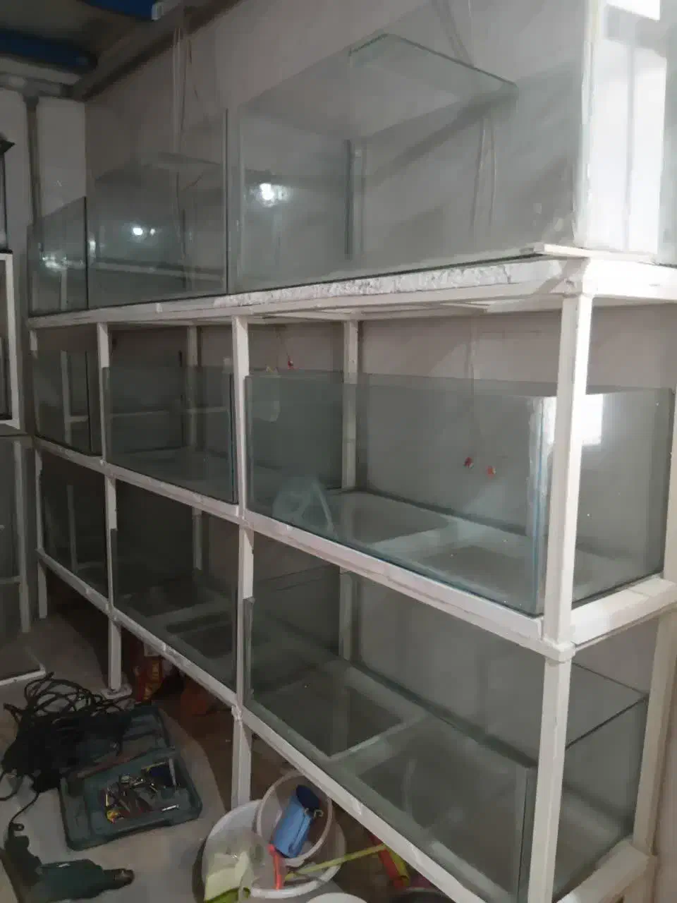 پایه آکواریم واکواریم|ماهی|عسگران, |دیوار