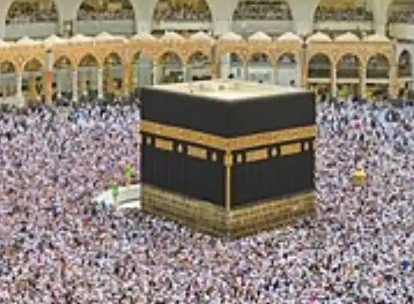 فروش فیش حج|تور و چارتر|بوشهر, |دیوار