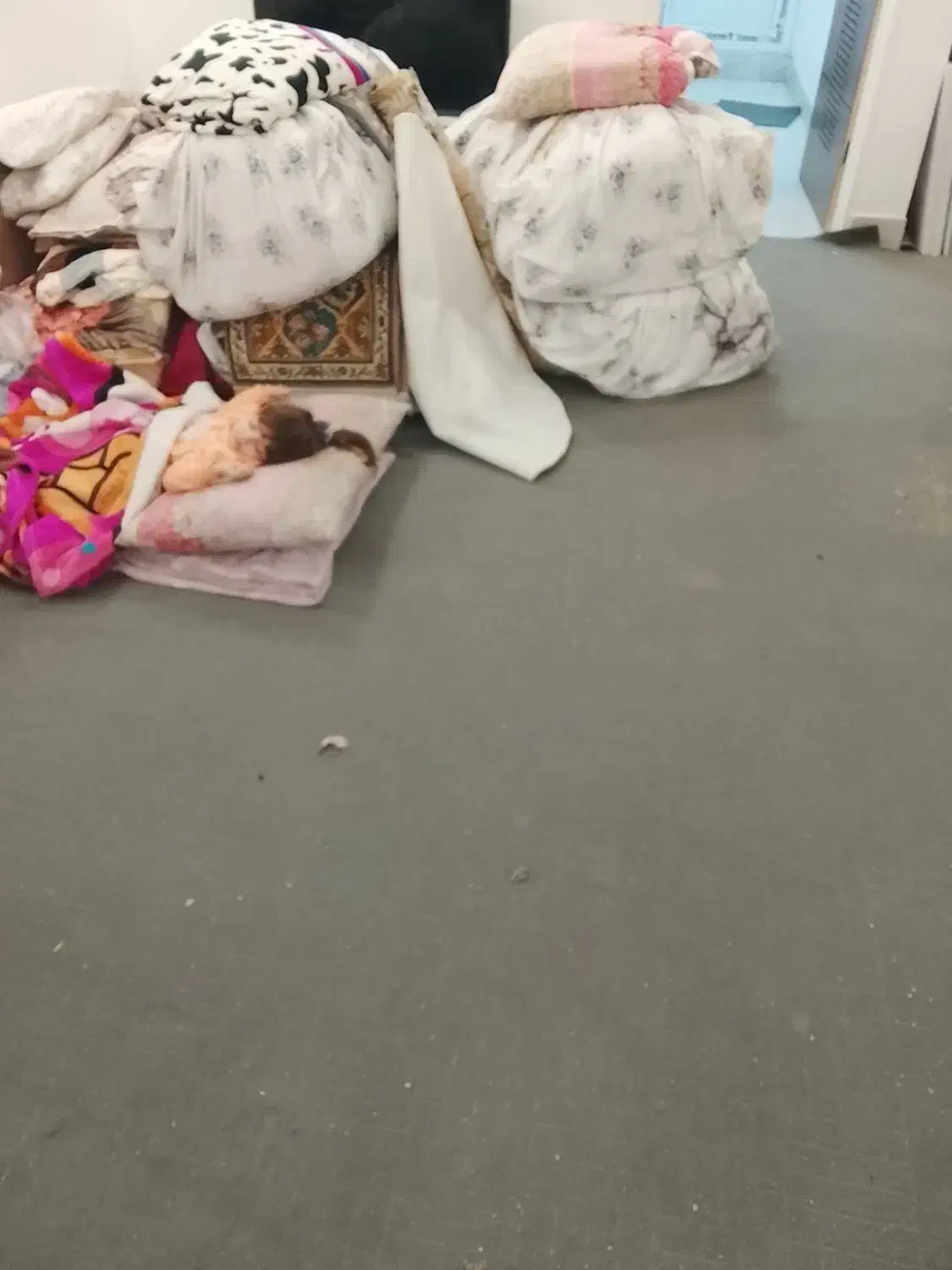 موکت|موکت|قم, ولیعصر|دیوار