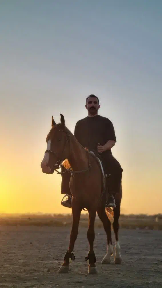 اسب نریشن دره شوری|اسب و تجهیزات اسبسواری|مشهد, الهیه|دیوار