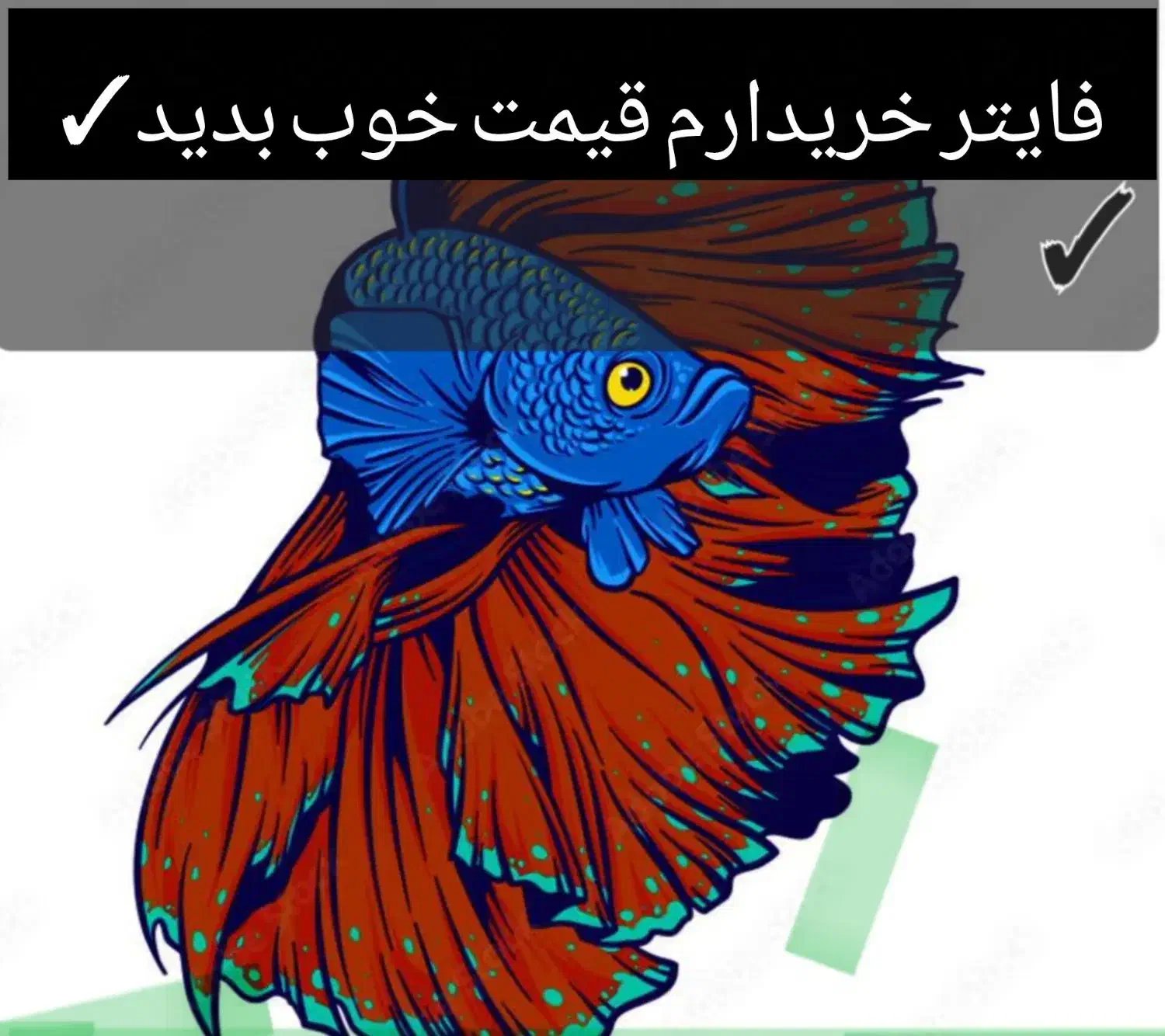 فایتر|ماهی|بیجار, |دیوار