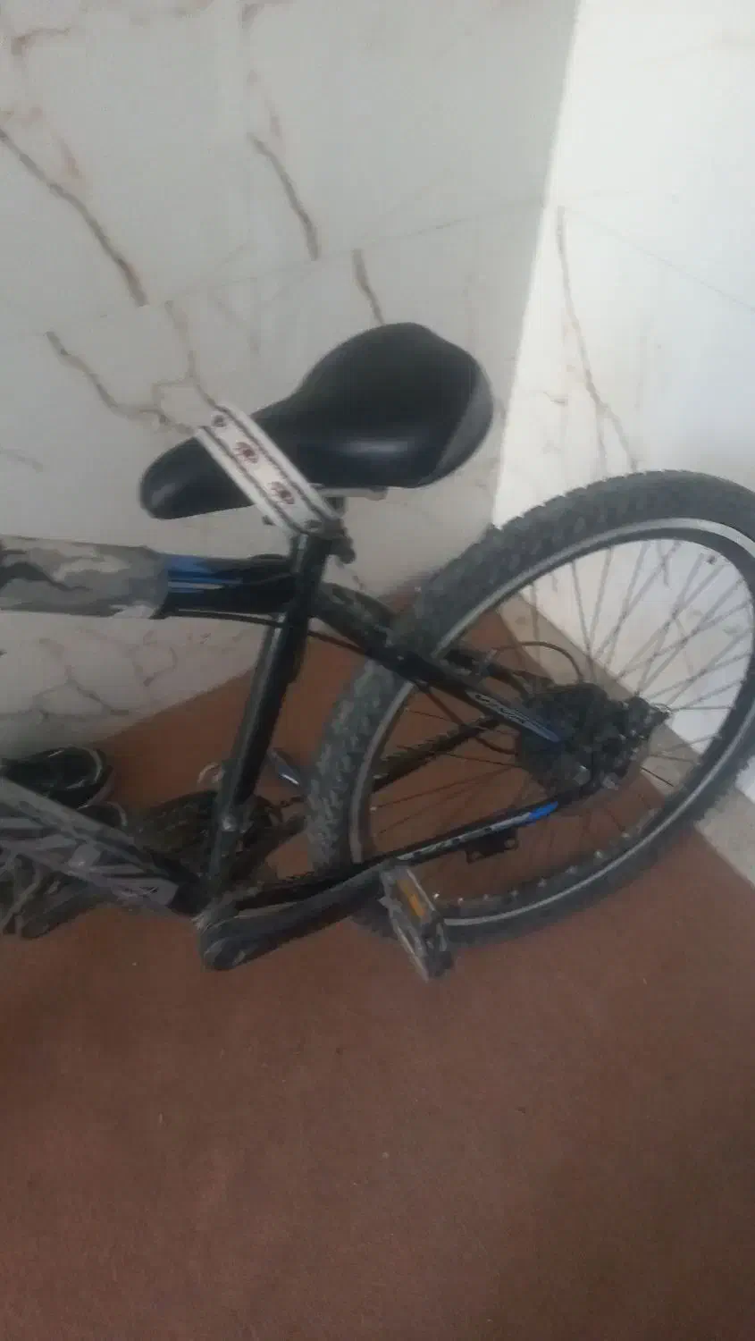 سالم ومدل ویوا|دوچرخه، اسکیت، اسکوتر|هشتگرد, شهرک راه آهن|دیوار