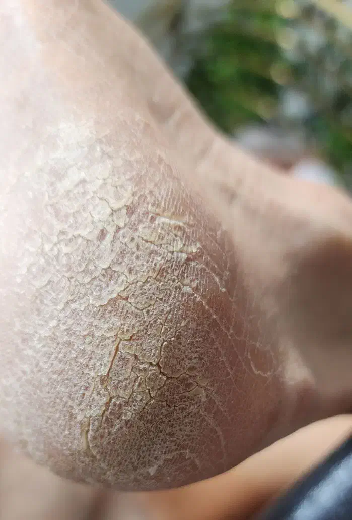 آموزش اسپا و پدیکور در آموزشگاه فنی حرفه ای|خدمات آرایشگری و زیبایی|شیراز, قصرالدشت|دیوار