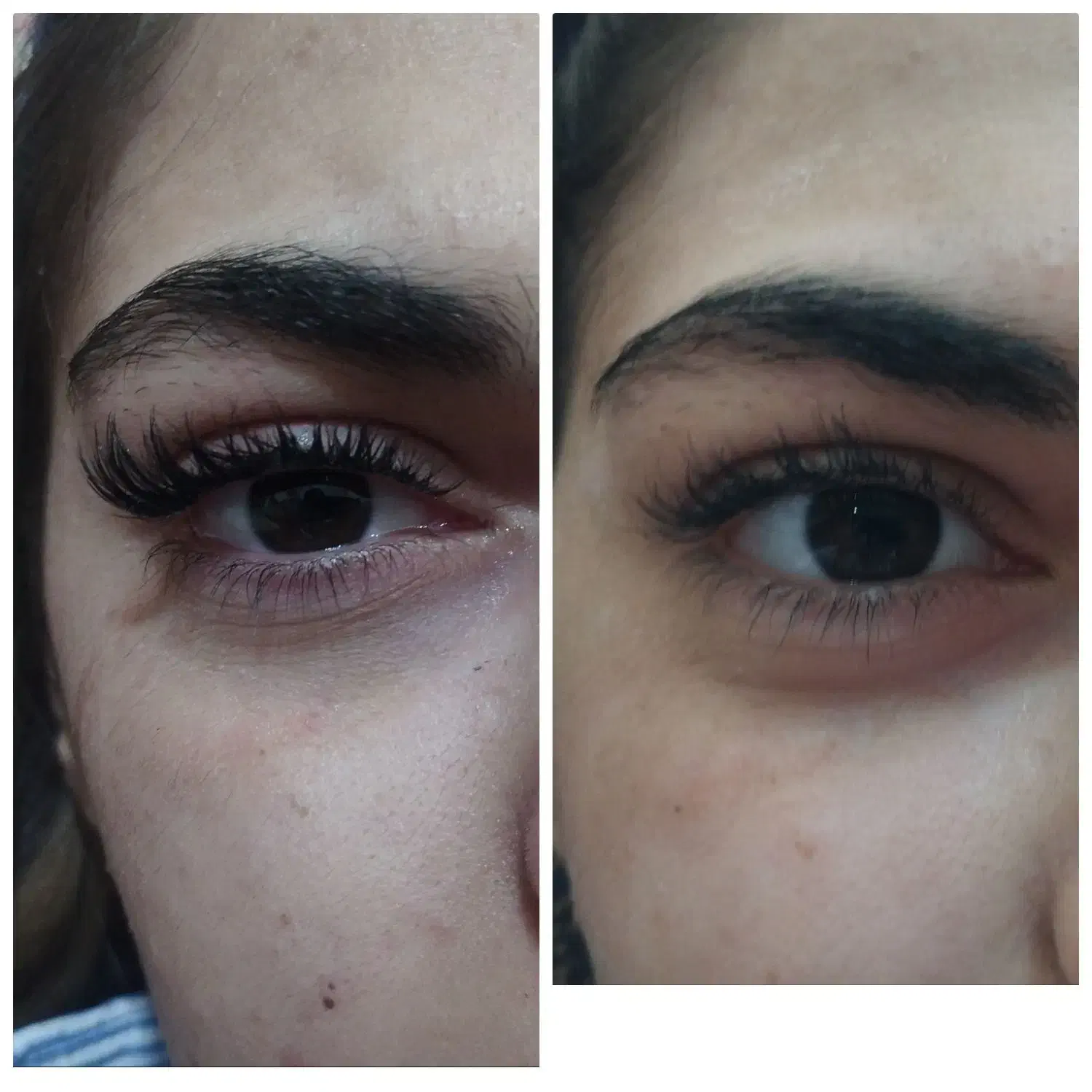 لیفت مژه و ابرو کاشت مژه|خدمات آرایشگری و زیبایی|زرقان, |دیوار