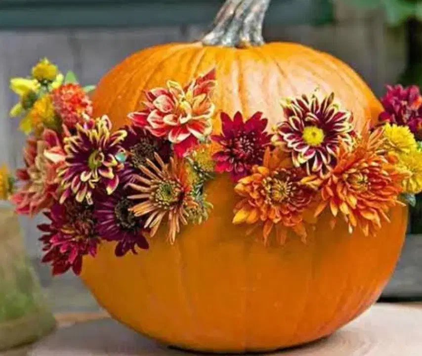 هدیه روز زن روز مادر و روز پدر ولنتاین و تولد|گل مصنوعی|زنجان, |دیوار