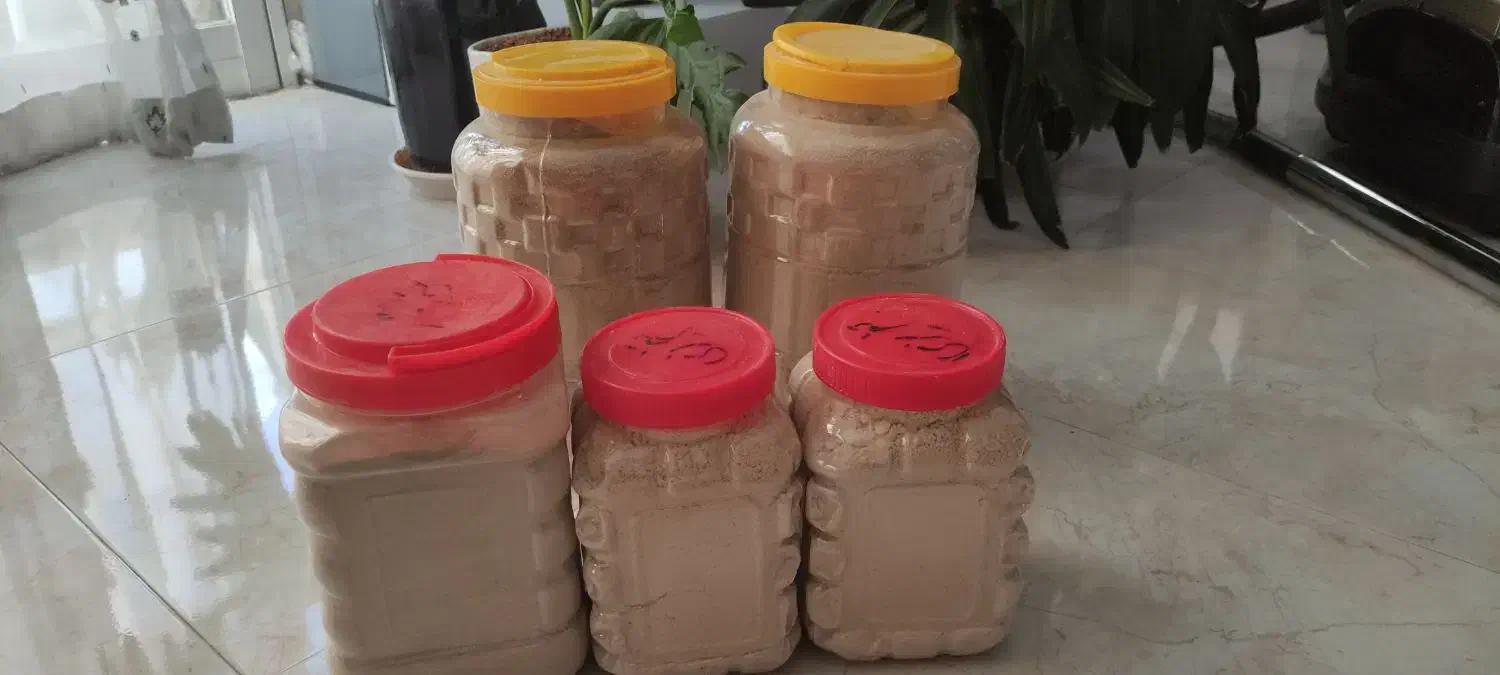 حلزون پرورشی|خزنده|اصفهان, بهارستان (مخابرات)|دیوار