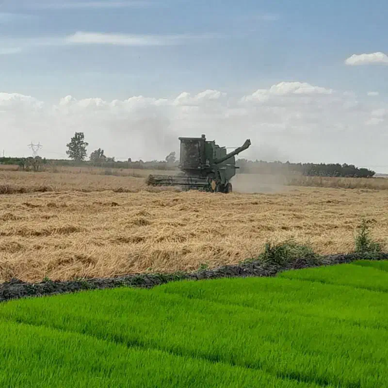 کمباین جاندر مدل ۹۶|خودرو سنگین|جلگه شوقان, |دیوار