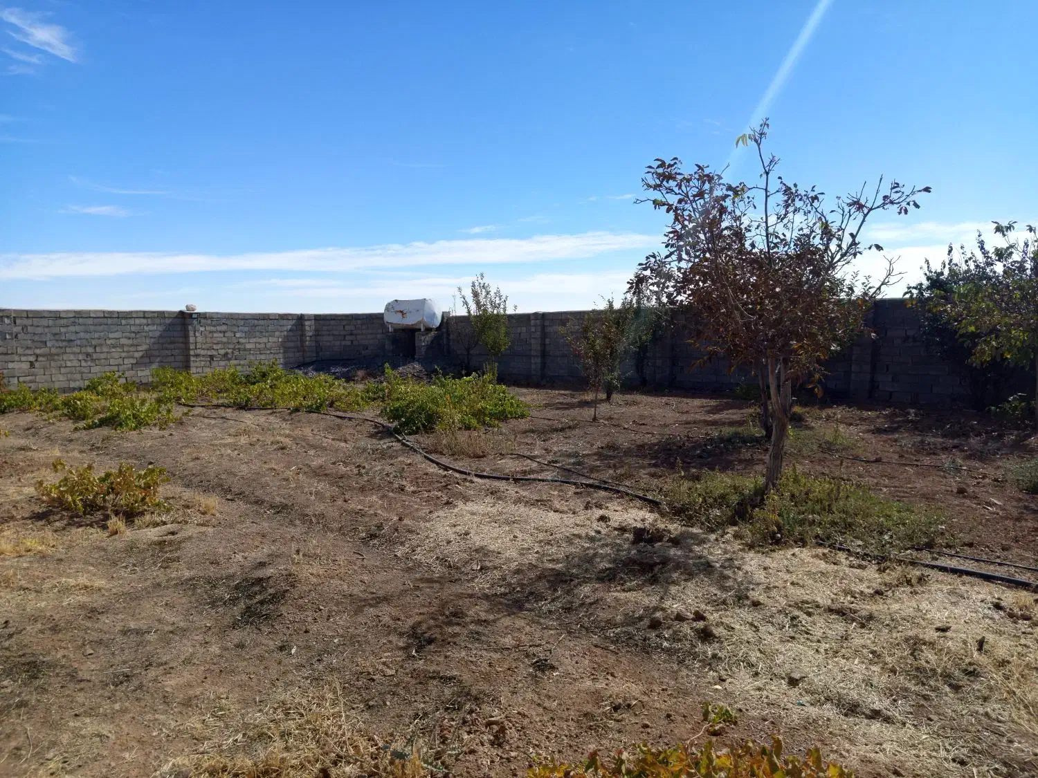 گاوداری شیری با پروانه وباغ|فروش دفتر صنعتی، کشاورزی، تجاری|خنجین, |دیوار