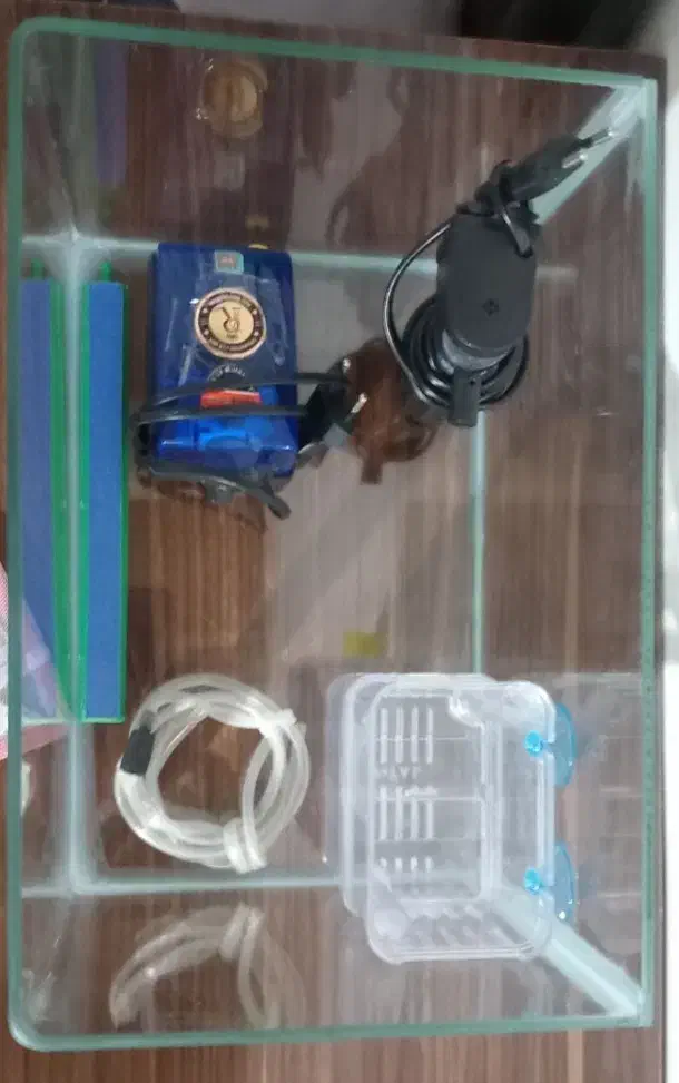 آکواریوم|ماهی|بجنورد, |دیوار