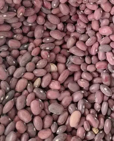 لوبیا قرمز|خوردنی و آشامیدنی|سیدان, |دیوار