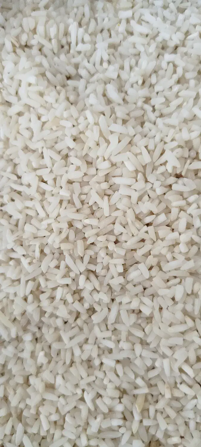 برنج طارم دم سیاه اب رودخانه|خوردنی و آشامیدنی|گالیکش, |دیوار