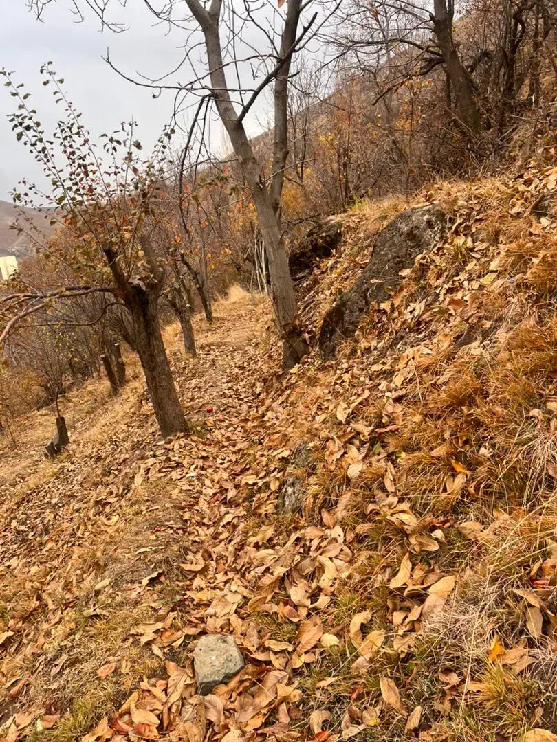 ۱۰۰۰متری روستای کلوان|فروش زمین و ملک کلنگی|آسارا, |دیوار