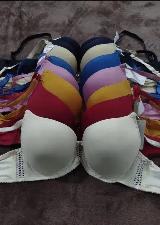 لباس زیر زنانه|لباس|فولادشهر, C4|دیوار