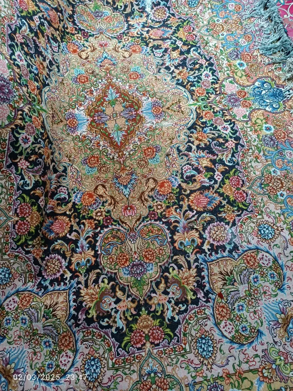 ۶متری جفت|فرش|اردبیل, |دیوار