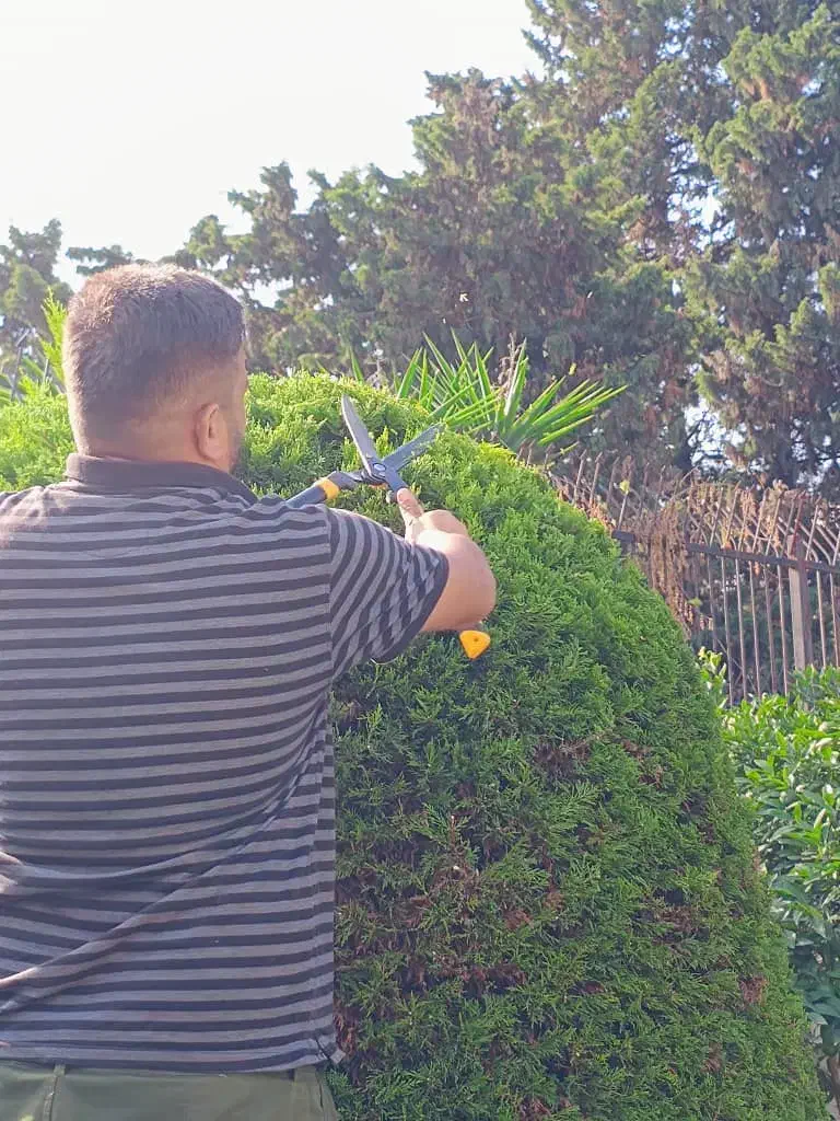 انجام باغبانی هرس گلکاری کود سمپاشی شخم زدن باغبان|خدمات باغبانی و درختکاری|رامسر, |دیوار