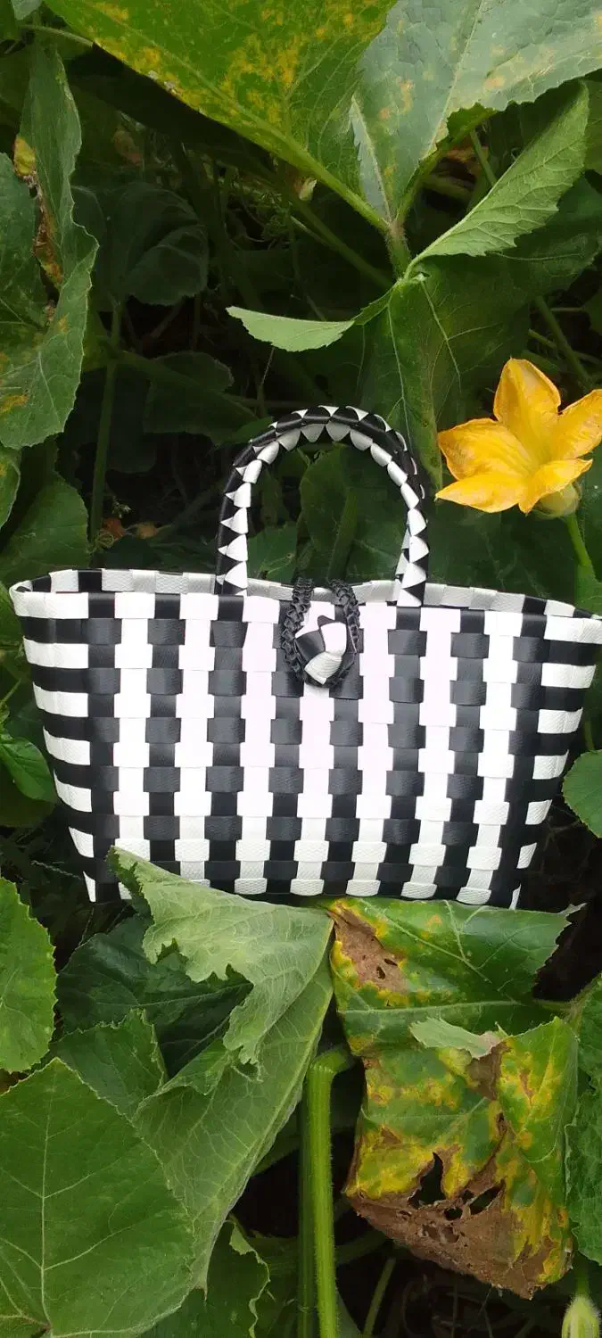 ساک وکیف|کیف، کفش، کمربند|بندر انزلی, پیل علی باغ|دیوار