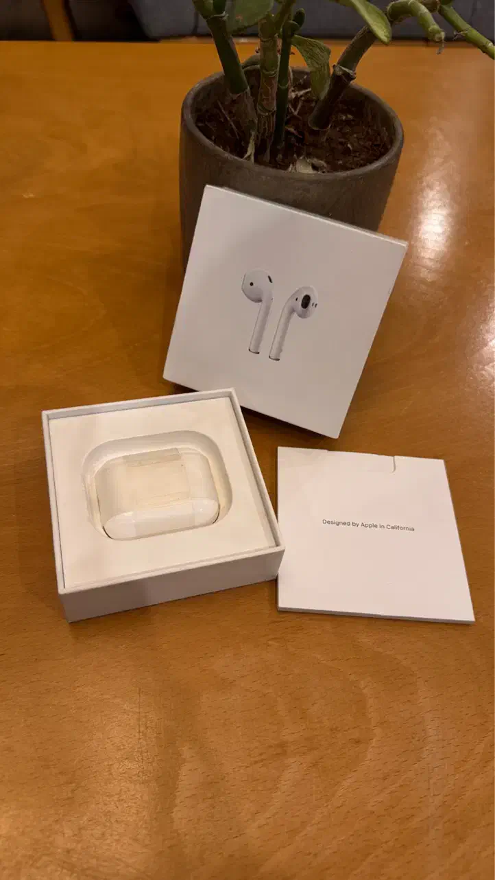 Airpod ایرپاد ۲ اصل اپل|لوازم جانبی موبایل و تبلت|شیراز, معالی‌آباد|دیوار