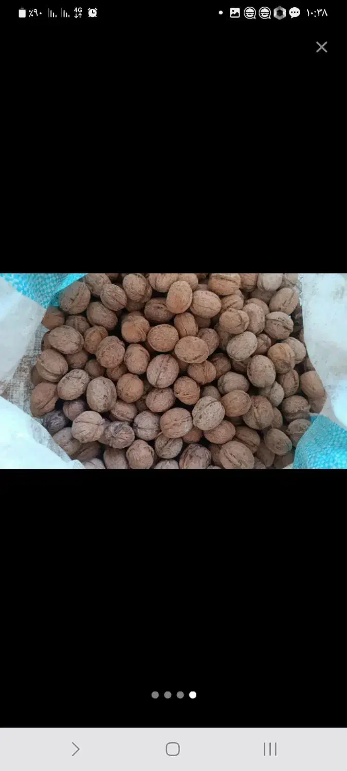 گردو کلات پرچرب کلات رسید خوشمزه|خوردنی و آشامیدنی|مشهد, شهید شهریاری|دیوار