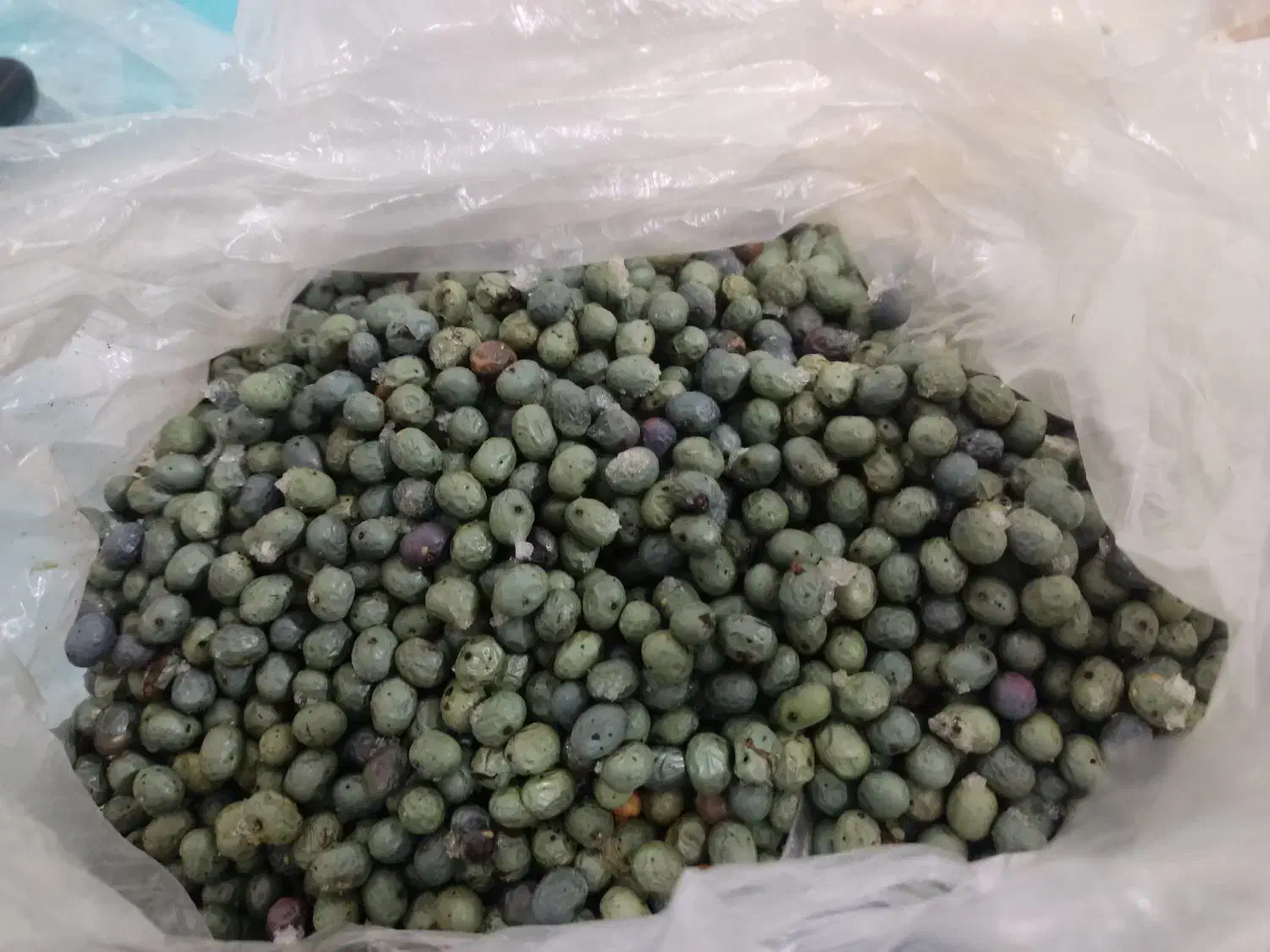 مقداری بن ترکیلویی ۳۵۰|حراج|دهدشت, |دیوار