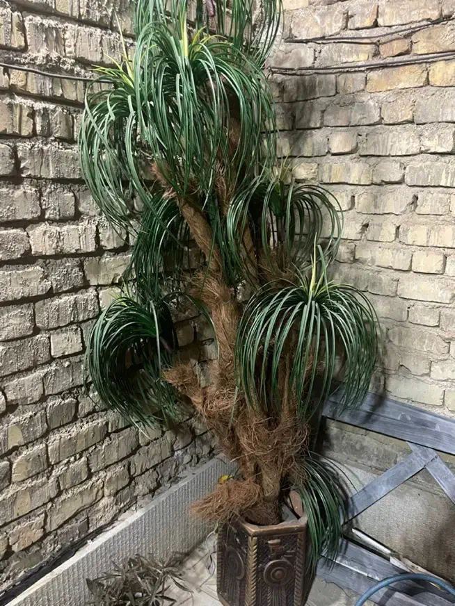 گلدان مصنوعی نخل|گل مصنوعی|شیراز, شریفآباد|دیوار