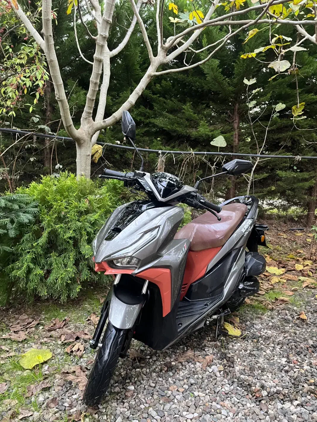 کلیک کویر ۱۵۰|موتورسیکلت|لیسار, |دیوار